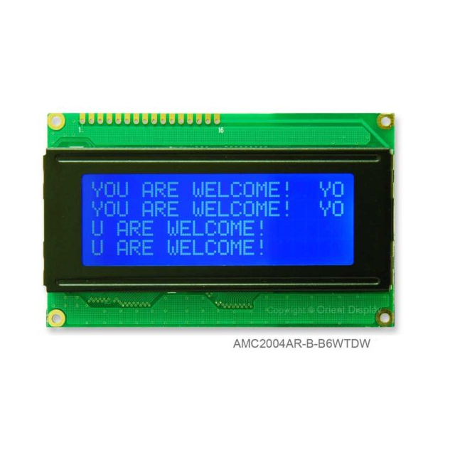 【AMC2004AR-B-B6WTDW】LCD COB CHAR 20X4 BLUE TRANSM