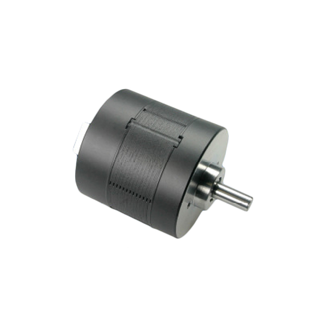 STANDARD MOTOR 4350 RPM 24V【BLDC36P16A】