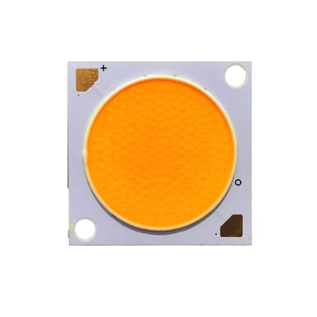 LED COB V22 CL WHT SQUARE 5000K【BXRE-50G6501-C-74】