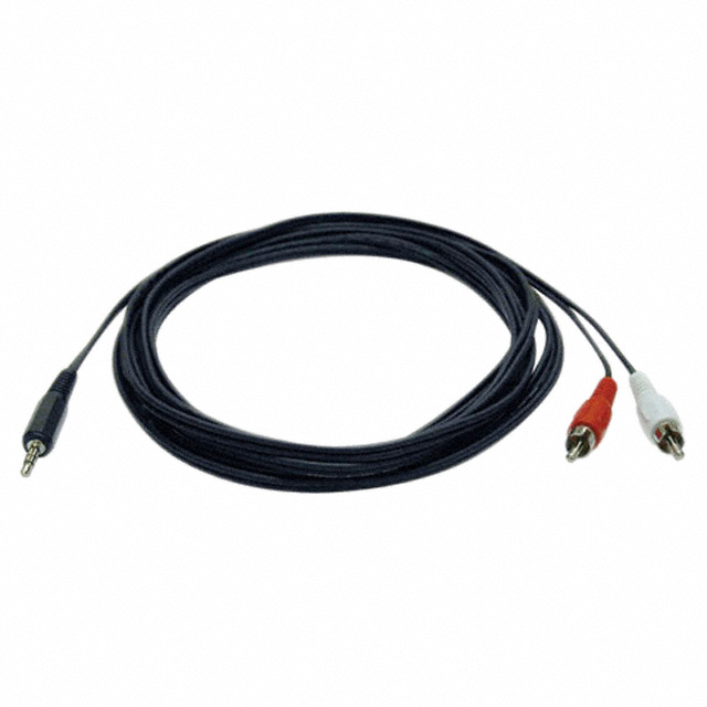 【P314-012】CABLE ADT 3.5MM-M 2 RCA-M 12'