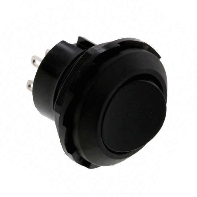 【RR3130BBLKBLKES】SWITCH ROCKER DPDT 10A 125V