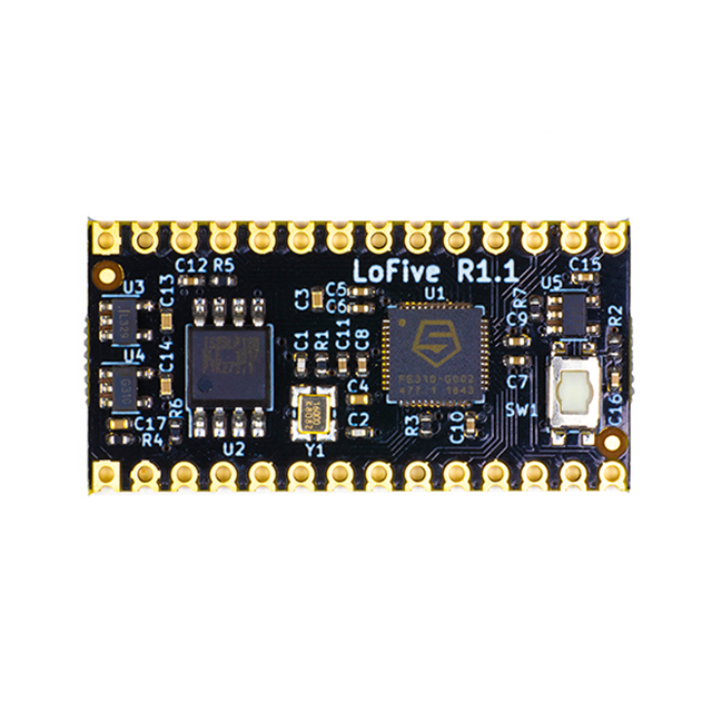SIFIVE FE310-G002 RISC-V DEV【LOFIVE-R1】