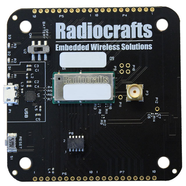 【RC1880CEF-GPR-DB】RIIOT GATEWAY BOARD