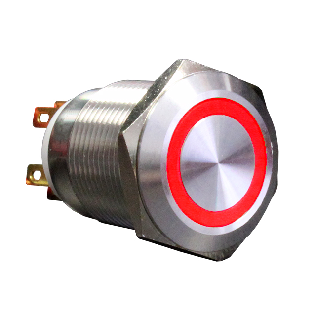 SWITCH PB DPST-NO/NC 1A 125V【AH1NBSR24】