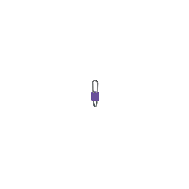 5289
