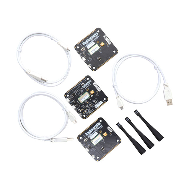 【RC1880-RIIOT-DK】DEVELOPMENT KIT FOR RIIOT MODULE