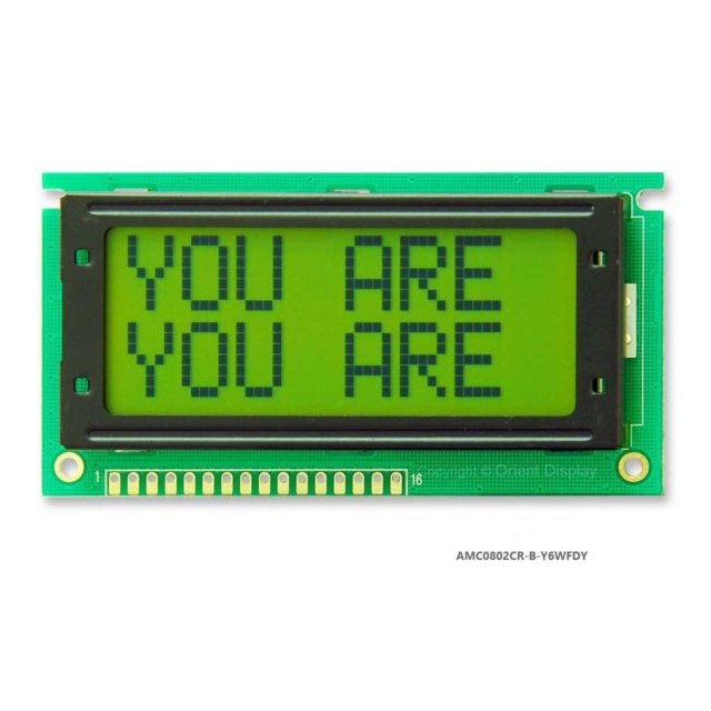 LCD COB CHAR 8X2 Y/G TRANSF【AMC0802CR-B-Y6WFDY】
