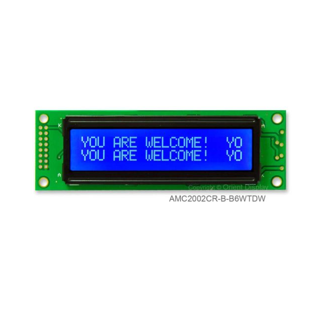 【AMC2002CR-B-B6WTDW】LCD COB CHAR 20X2 BLUE TRANSM