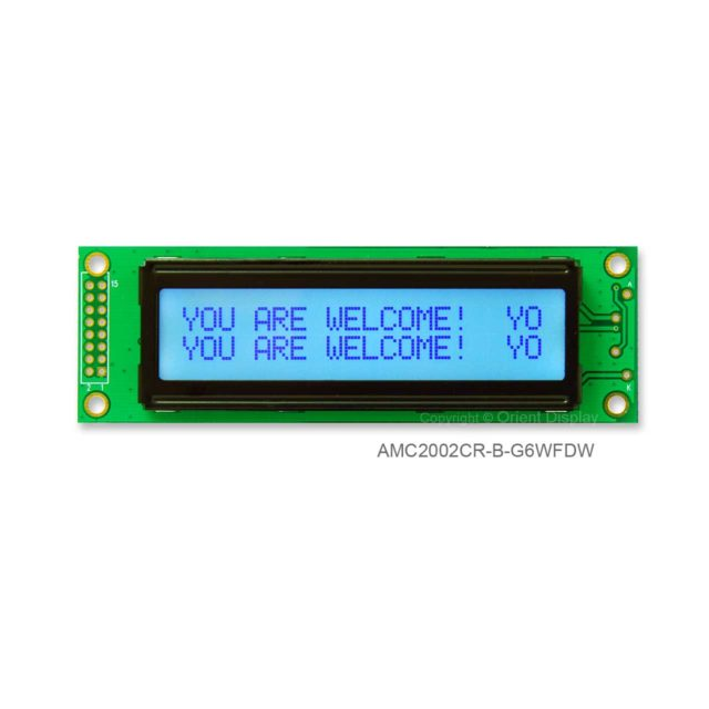 LCD COB CHAR 20X2 GRAY TRANSF【AMC2002CR-B-G6WFDW】