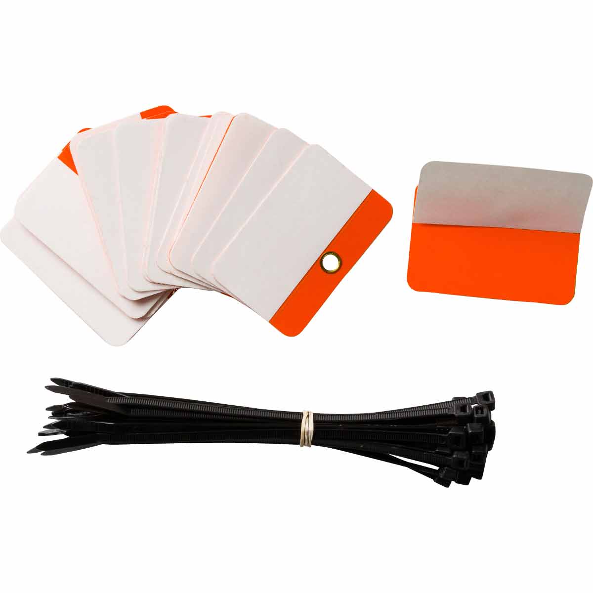 POLY SELF LAM TAG 2X3 BLANK ORG【101996】