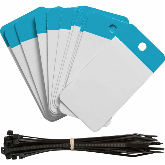 POLY SELF LAM TAG 2X4 BLANK BLU【102001】