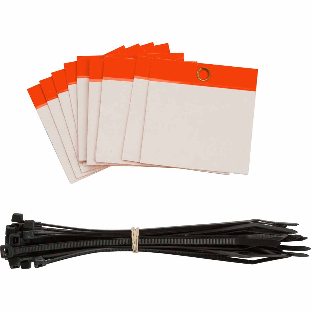 POLY SELF LAM TAG 3X3 BLANK RED【102005】