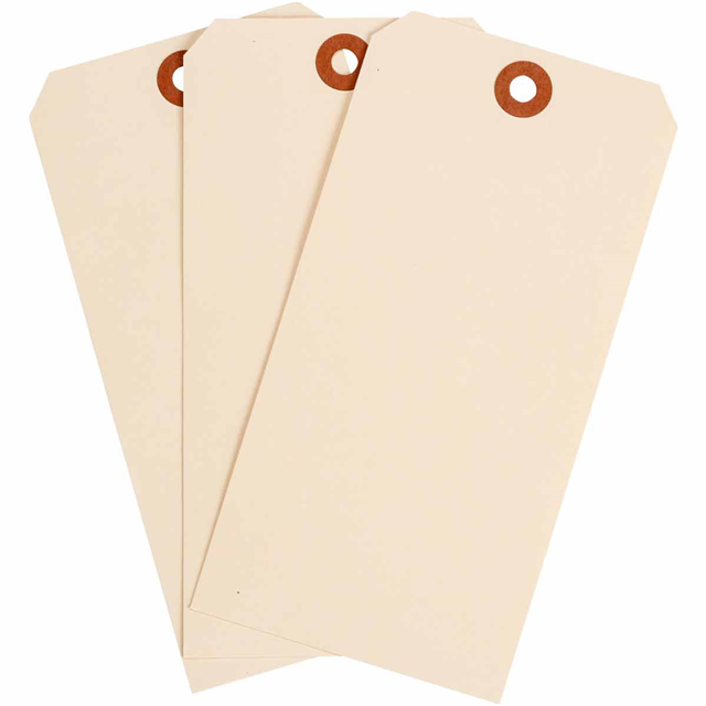BLNK TAG MANILA 5.25"X2.625" 100【102045】