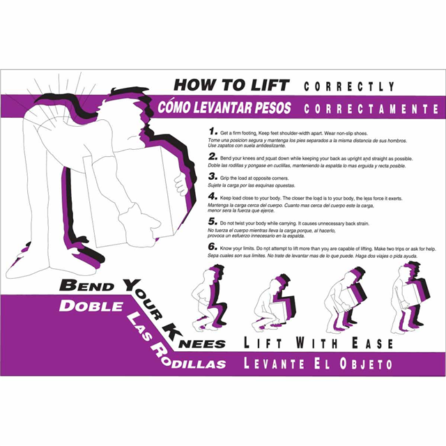 WALLCHART-PLAS-29WX20-HOW TO LIF【105620】