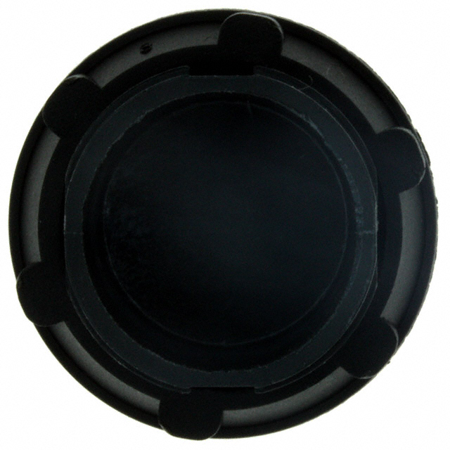 HOLE PLUG 0.886" BLACK【2BP2】