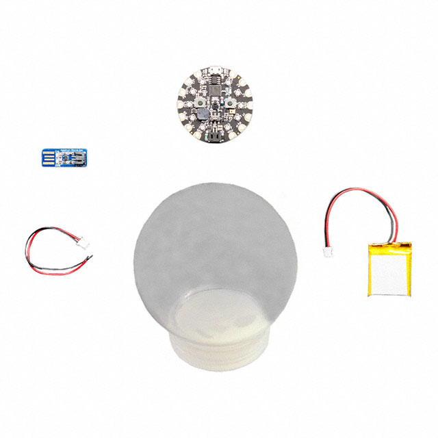 CIRCUIT PLAYGROUND SNOW GLOBE KI【4011】