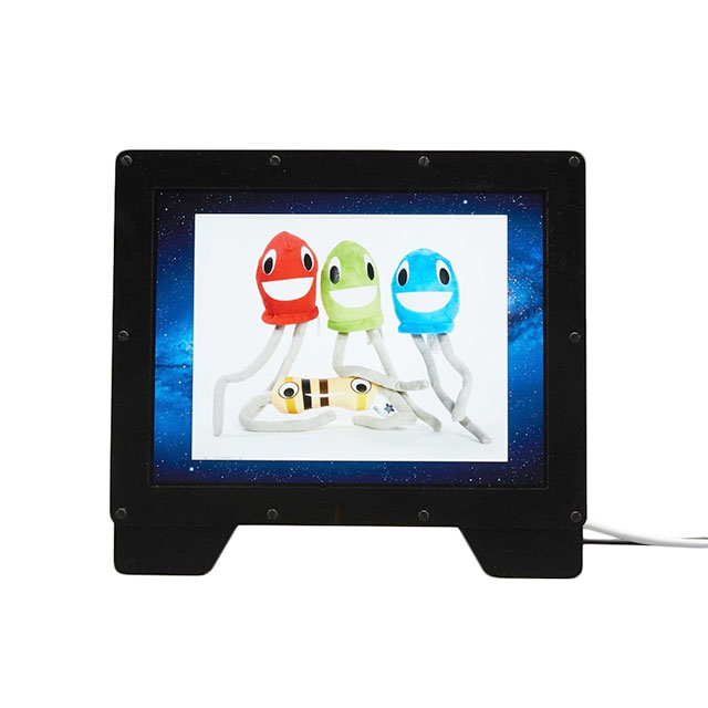 DISPLAYPORT MON 9.7" 2048X1536【1652】