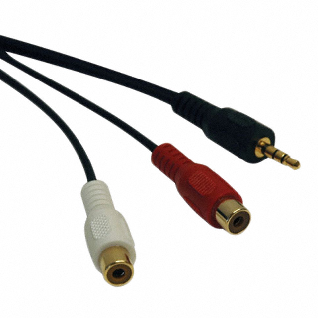 【P315-006】Y SPLITTER 3.5MM M 2 RCA F 6'