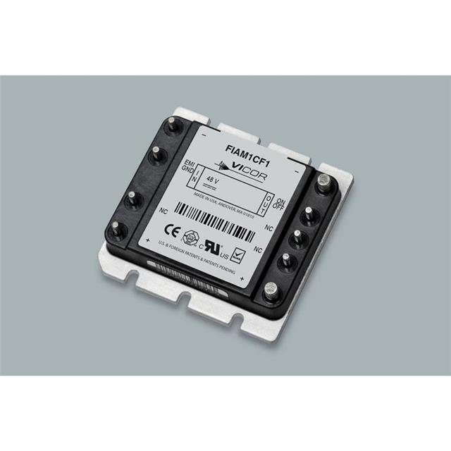 【FIAM2CS1】FIAM "C" 48 20A SPG SLOT
