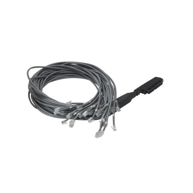 CABLE CAT 3 CN50F/25 (6X2) 3'【TDC50F62】
