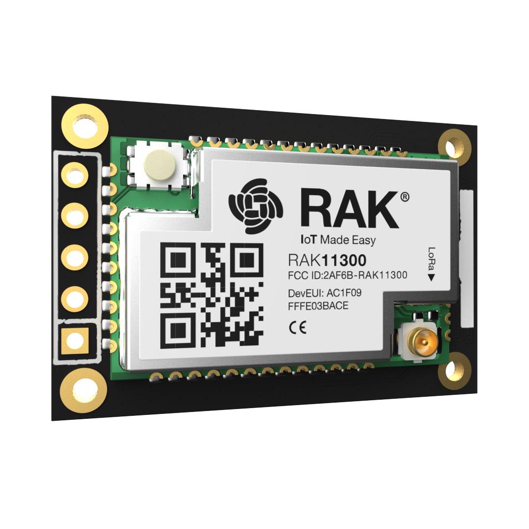 RAK11310-9-WB-I