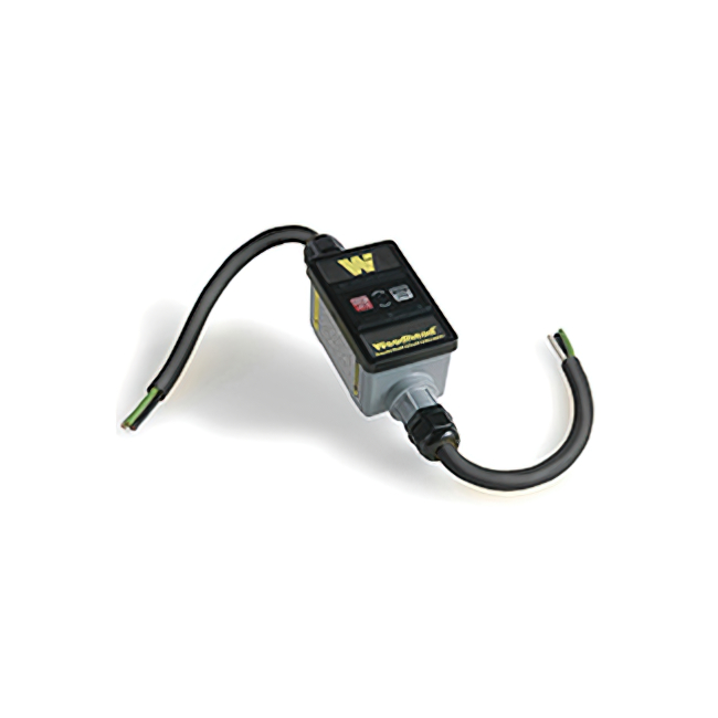 30A/120V GFCIAUTO2FT FLYINGLEADS【1301530261】