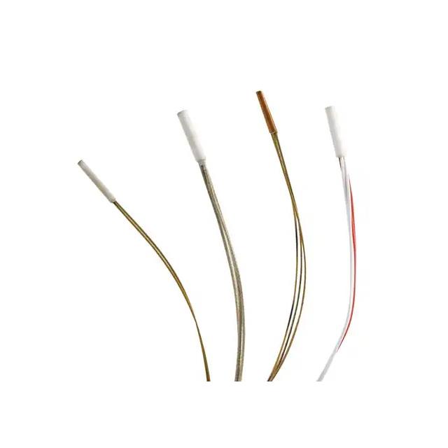 PLATINUM RTD CAPSULE, 260 C (500【RTDCAP-100A-2-P098-050-T-120】