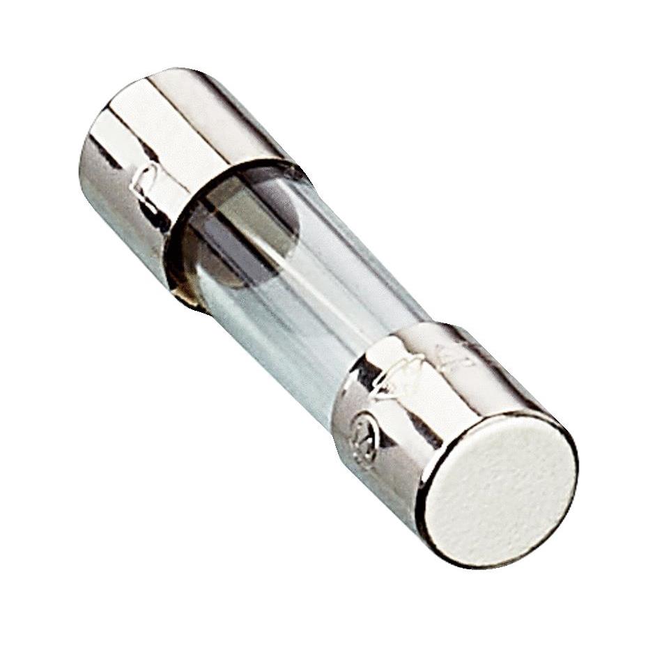 【6004298】FUSE-LINKS        T  1A0   250V[箱]