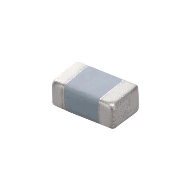 PRG21BC2R2MM1RK
