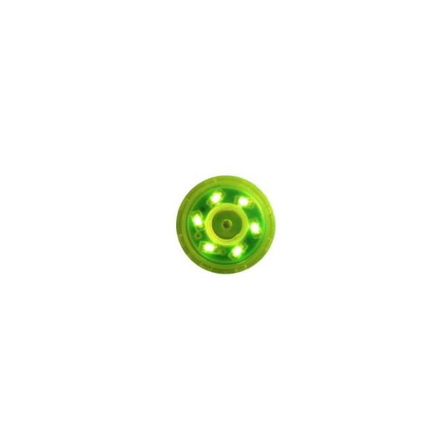 LAI-2540-PG-WP
