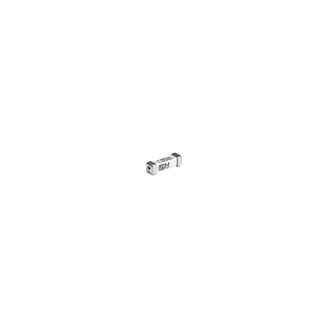 UMF 250 FUSE F 2.5A L 250V AC【3405.0170.11】