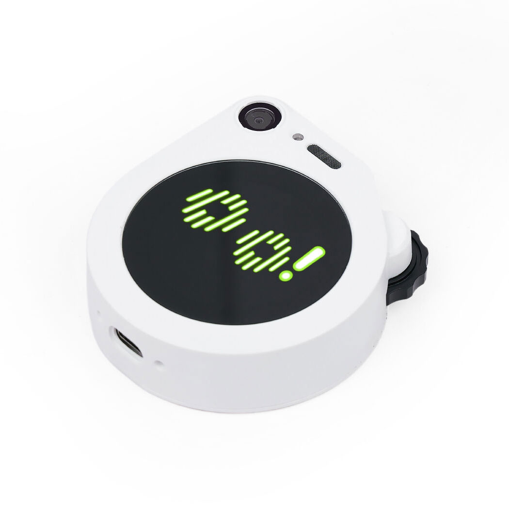 SENSECAP WATCHER W1-B AI AGENT【113991275】