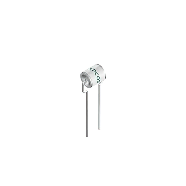 2 ELECT / 3600V【B88069X3233A802】