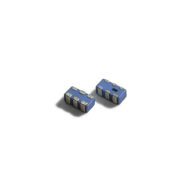 RFBLN16083G6W9T