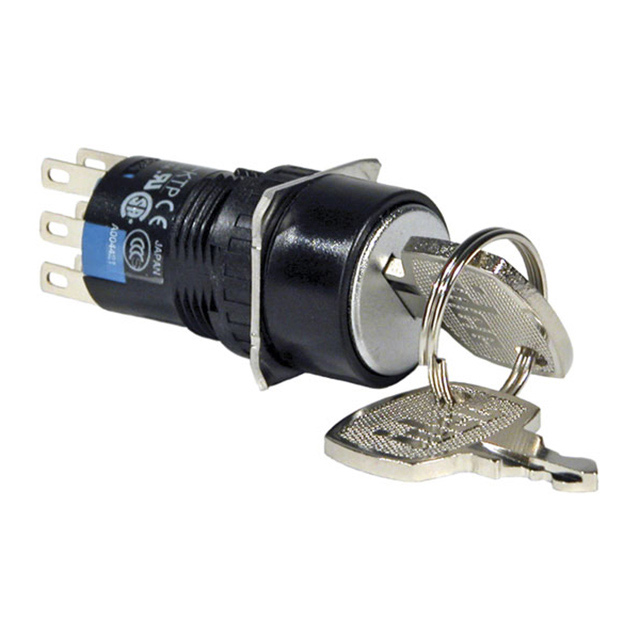 SWITCH KEYLOCK 2POS DPDT 1A 120V【AS6M-2KT2PA】