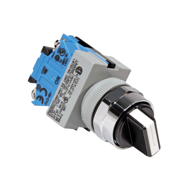 SWITCH SELECT 2POS DPST 10A 110V【ASW211】