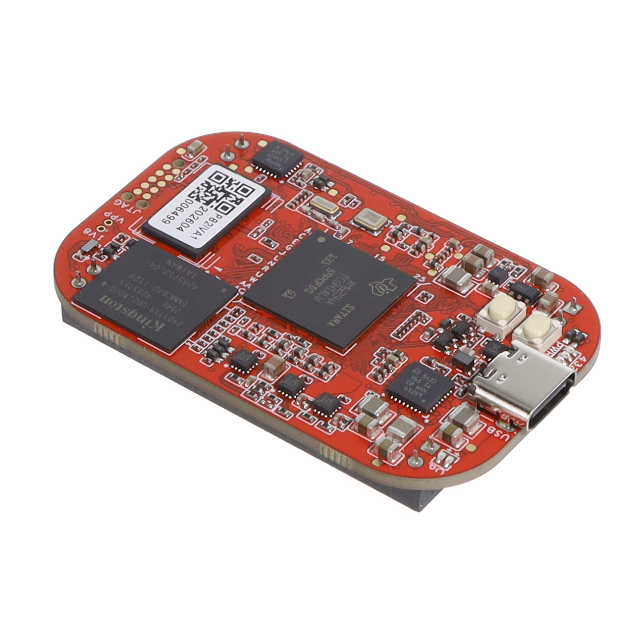 【100003007】POCKETBEAGLE 2 INDUSTRIAL[箱]