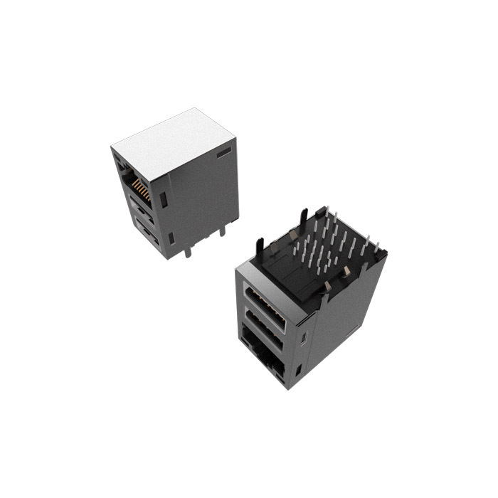 ARJG11C1-C5011BHEWFR