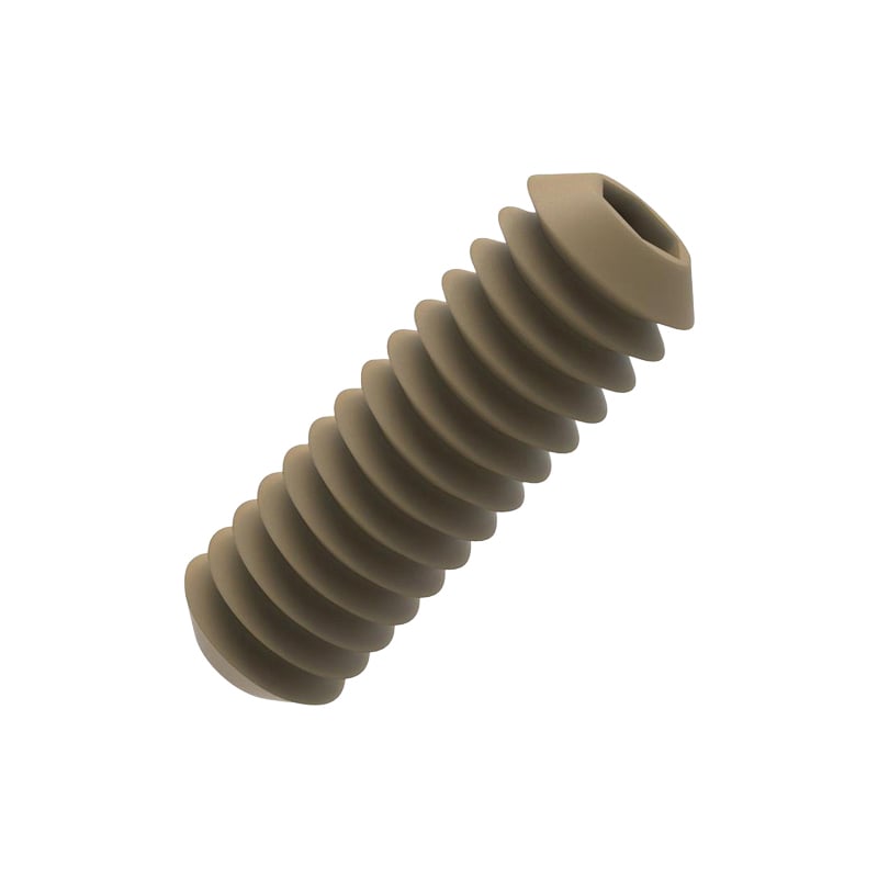 【20767587】PEEK, SET SCREW M8X15