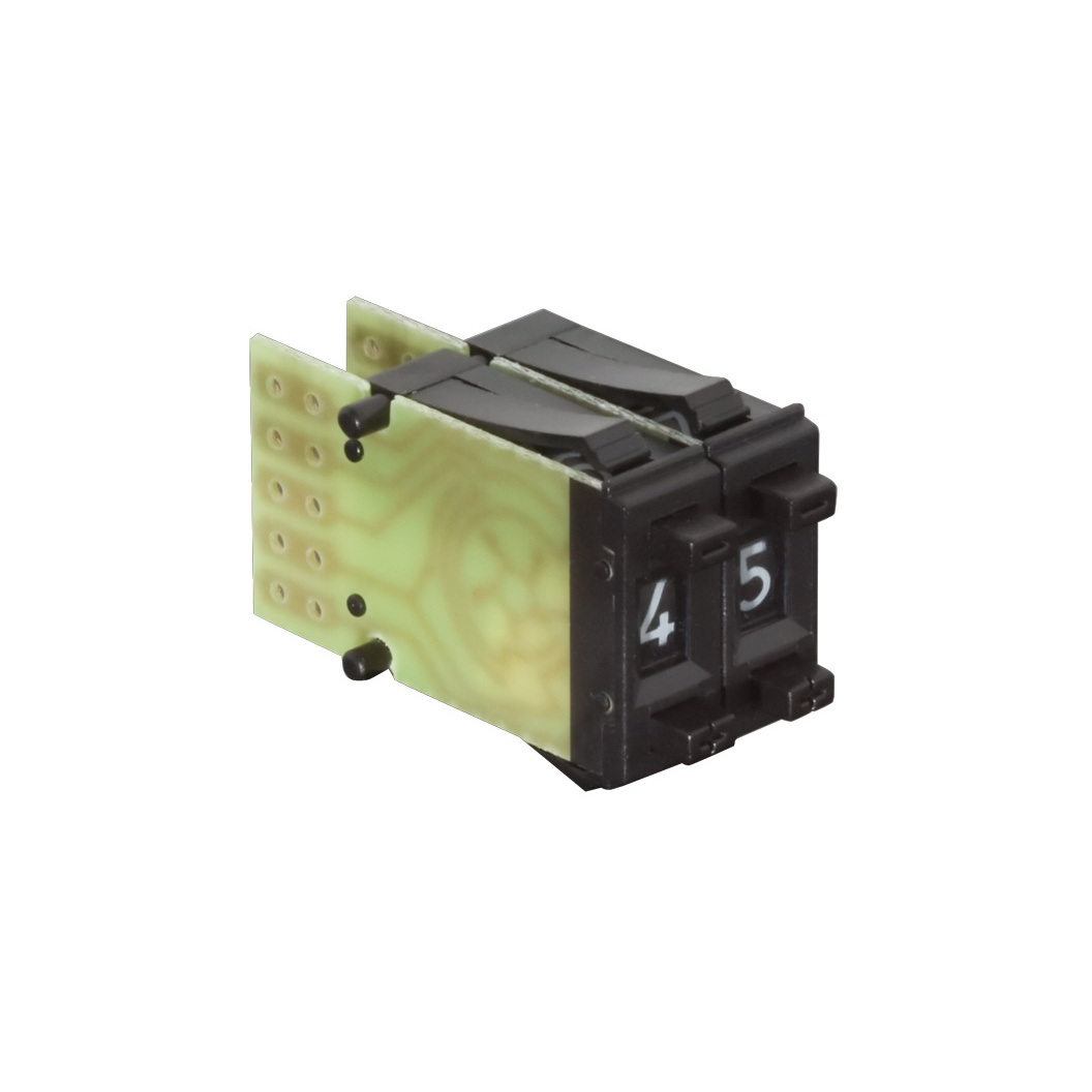 【SH6-131-AK-2】DUAL PUSH BUTTON SWITCHE BCD 10P[箱]