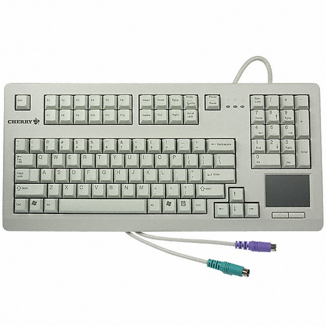 【G8011900LPMUS0】KEYBOARD COMPACT 104KY PS2 LTGRY