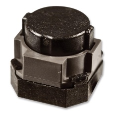 EVPASCB1A
