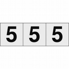 【TSN-30-5-TM】数字ステッカー 30×30 「5」 透明 3枚入