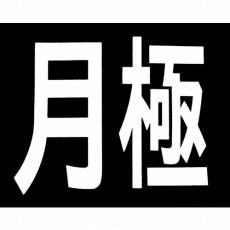 【RM200】ロードマーキング サイン 月極