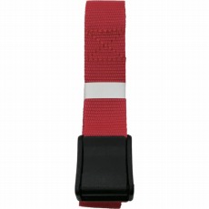 【AG-223】ベルト 結束ベルト(バックル) 25mm巾×2m レッド