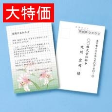 【JPHKTEST3】【在庫処分セール】インクジェット試し刷り用紙(方眼入り)