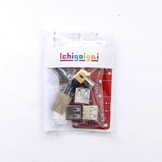 【ICHIGOIGAI-KIT】IchigoIgai組み立てキット