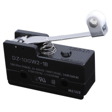 【DZ-10GW2-1B】MICROSWITCH  HINGE  DPDT  250V  10A