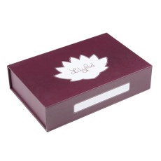 【TOL-14005】SparkFun Large Parts Box - LilyPad (Magnetic)