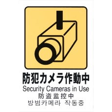 【TGP2032-8】光 多国語ピクトサイン 防犯カメラ作動中